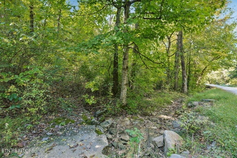 Tiny photo for 432 N Farnum St, Friendsville, TN 37737 (MLS # 1359304)