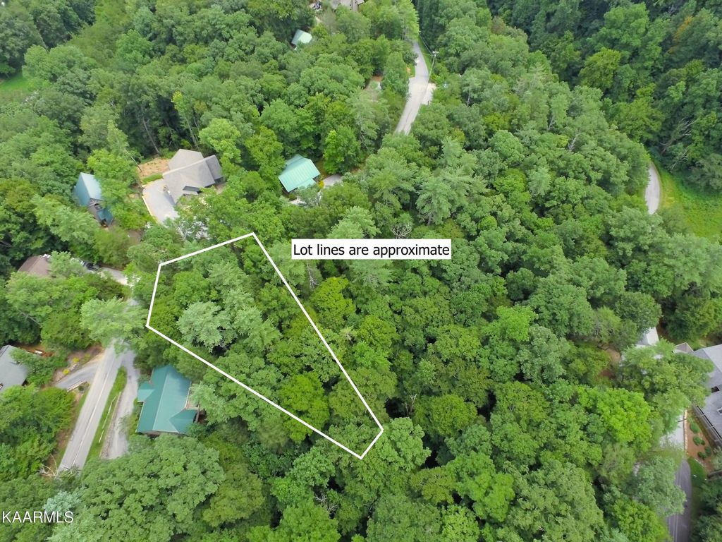Photo of Laurel Rd, Townsend, TN 37882 (MLS # 1202960)