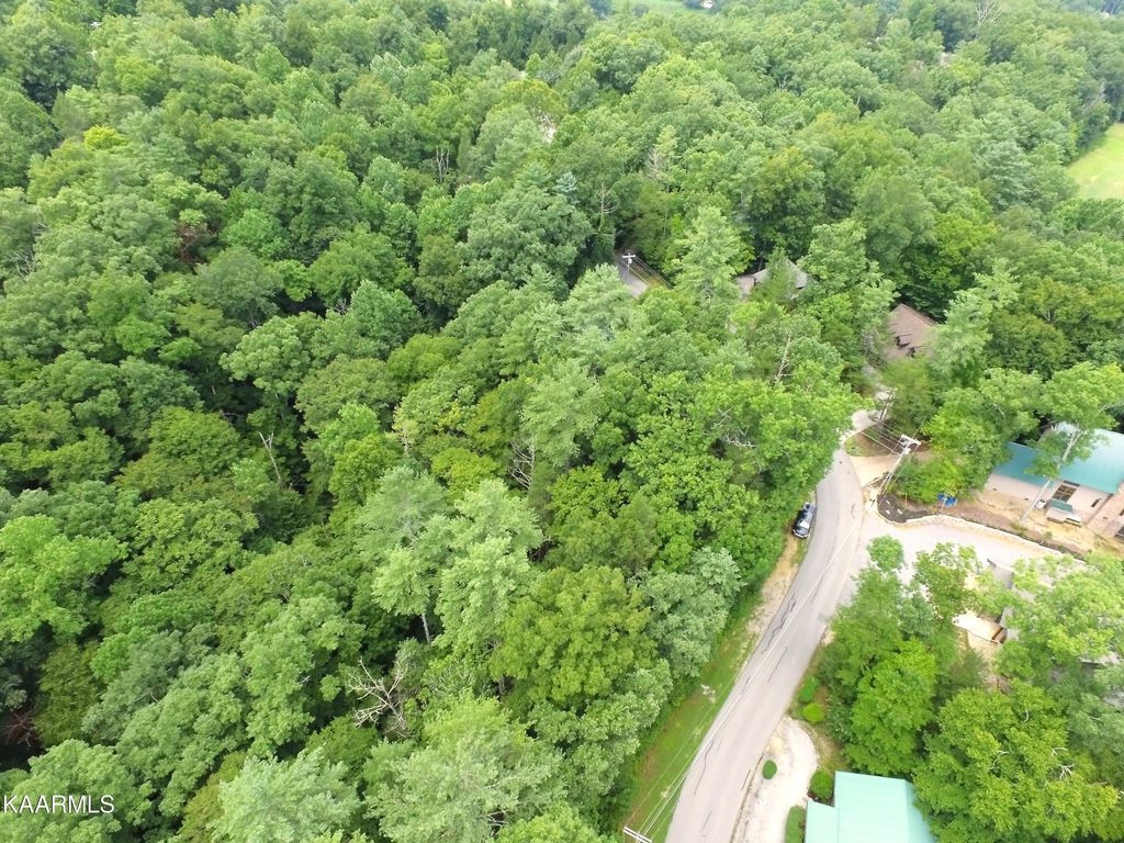 Photo of Laurel Rd, Townsend, TN 37882 (MLS # 1202960)