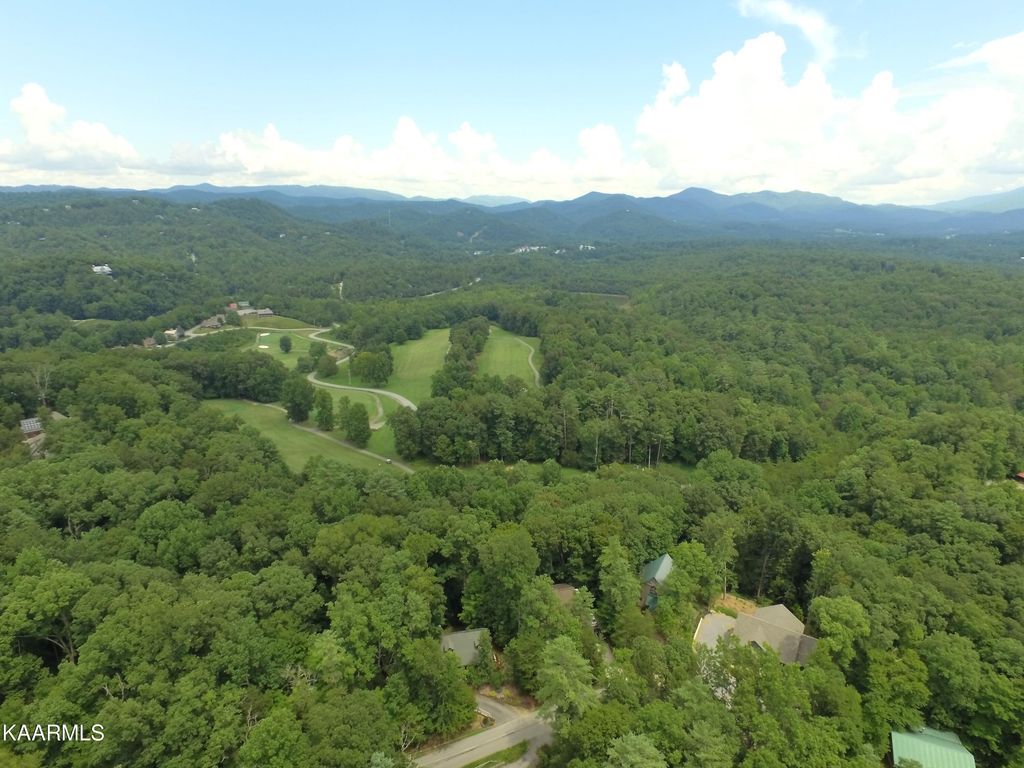Photo of Laurel Rd, Townsend, TN 37882 (MLS # 1202960)