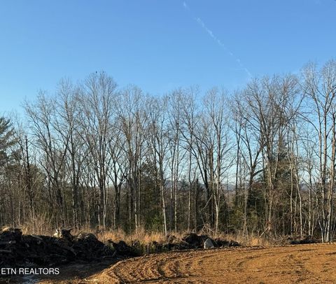 Photo of Possum Trot Rd. - Tract 14, Grandview, TN 37337 (MLS # 1326755)