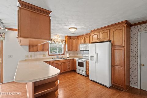 Tiny photo for 523 McCrary Drive, Morristown, TN 37814 (MLS # 1335065)