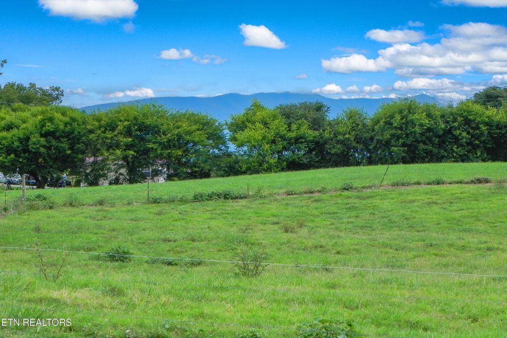 Photo of 2008 Bessie Slaton Rd, Dandridge, TN 37725 (MLS # 1312007)