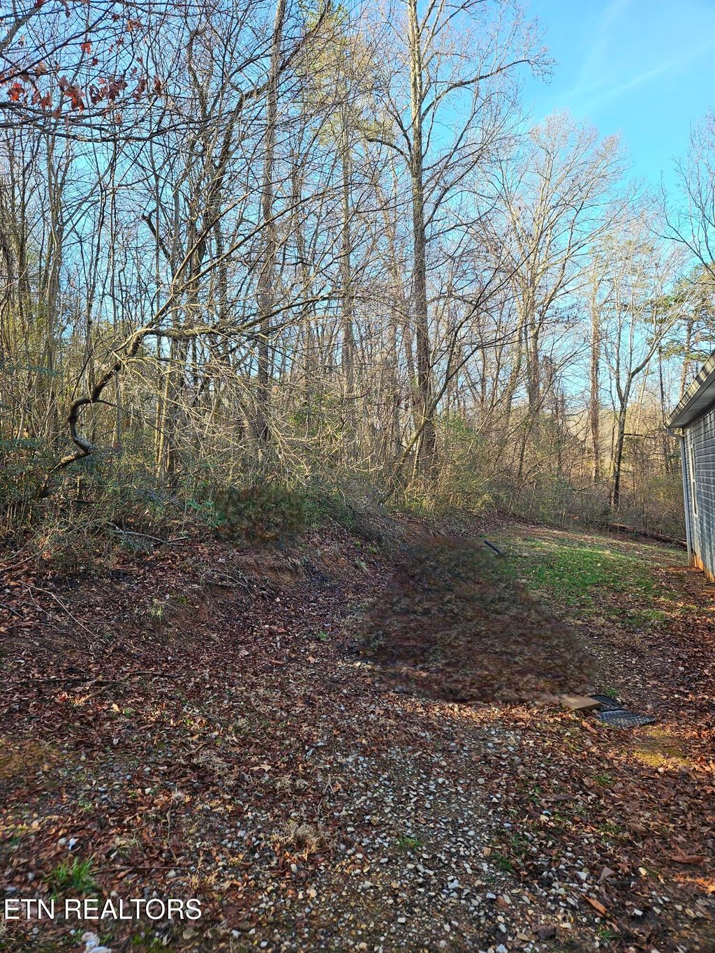 Photo of 733 Dogwood Drive, Madisonville, TN 37354 (MLS # 1328653)