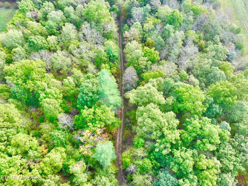 Photo of 000 Wentland Rd, Deer Lodge, TN 37726 (MLS # 1278534)