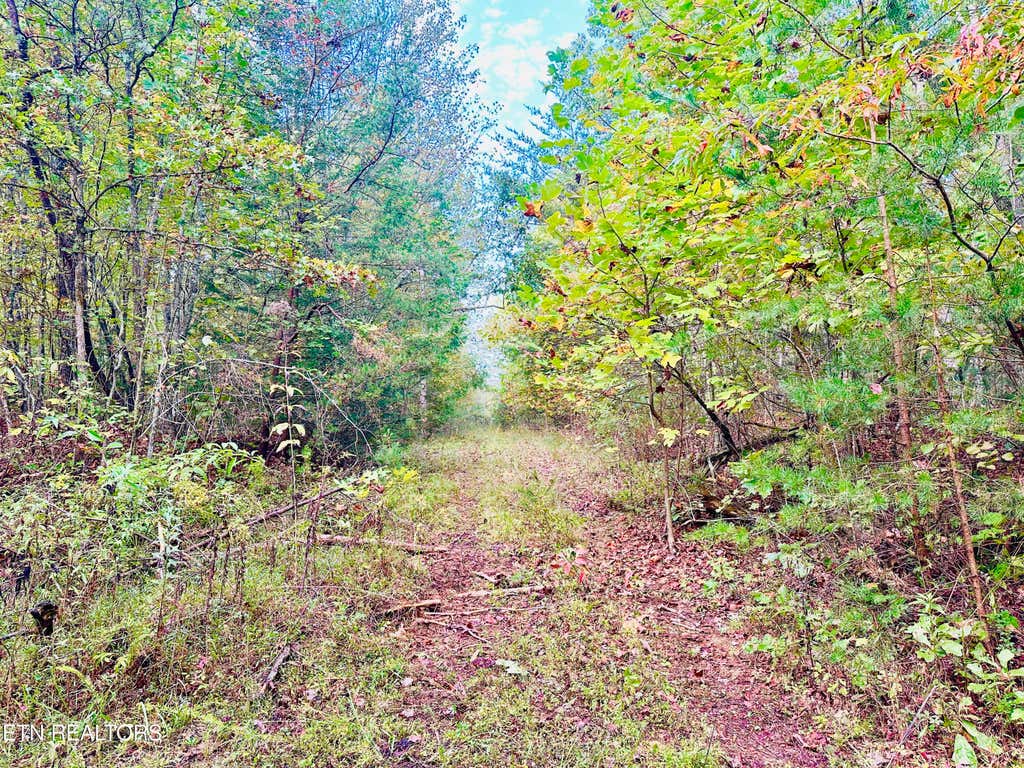 Photo of 000 Wentland Rd, Deer Lodge, TN 37726 (MLS # 1278534)