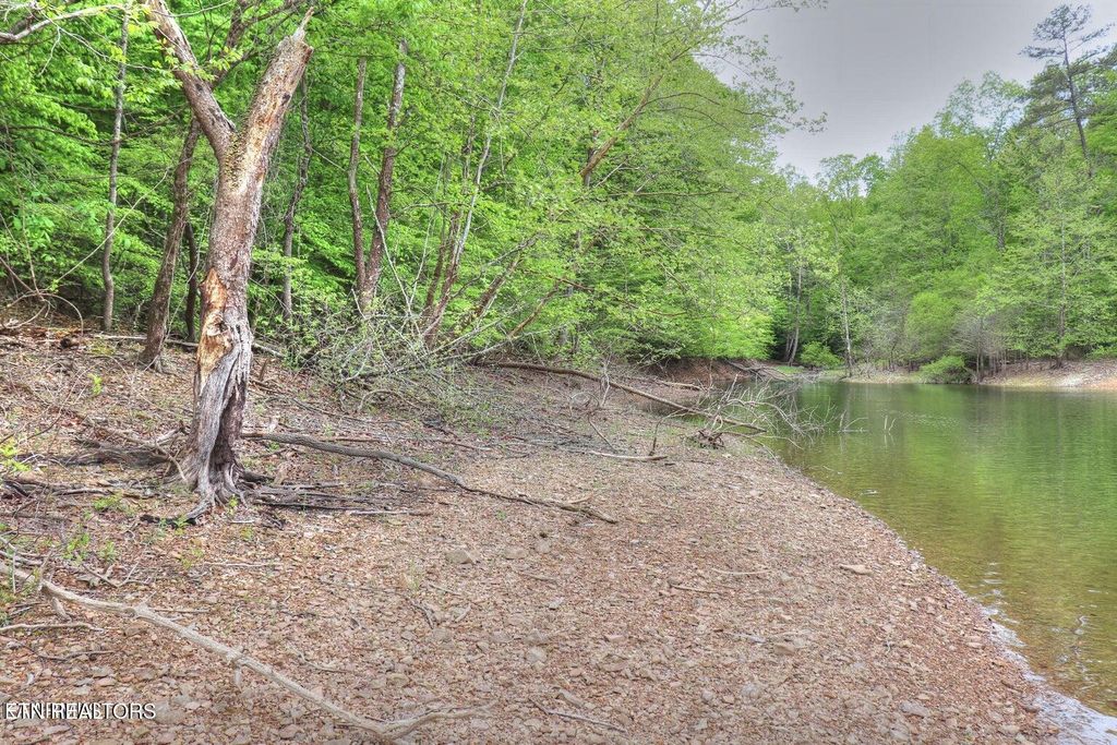 Photo of 427 Mountain Shores Rd, New Tazewell, TN 37825 (MLS # 1327698)