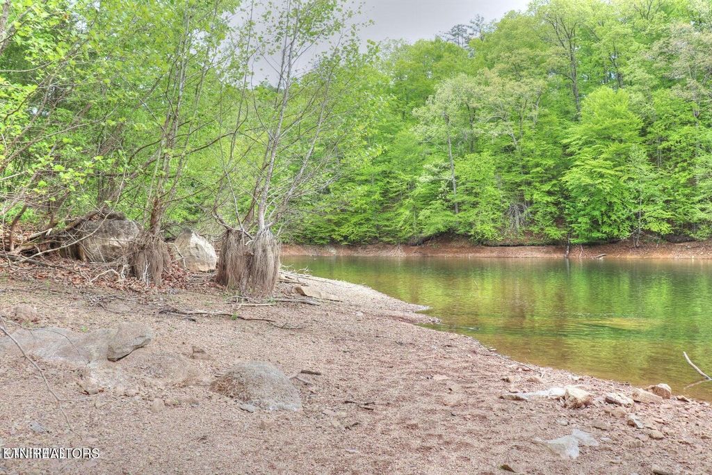 Photo of 427 Mountain Shores Rd, New Tazewell, TN 37825 (MLS # 1327698)