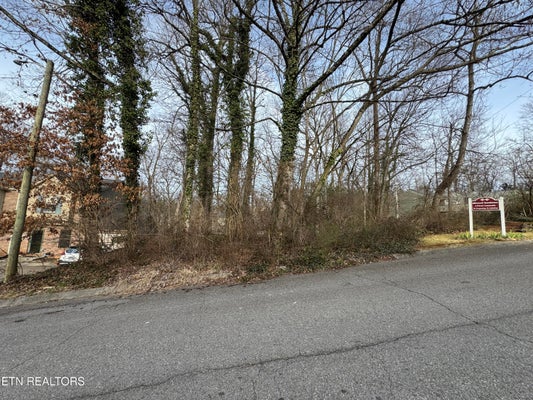 0 IDLEWOOD LANE, KNOXVILLE, TN 37923 - Image 4c7bd3ec73097e76fe9a599d1dfcf976/4043971241