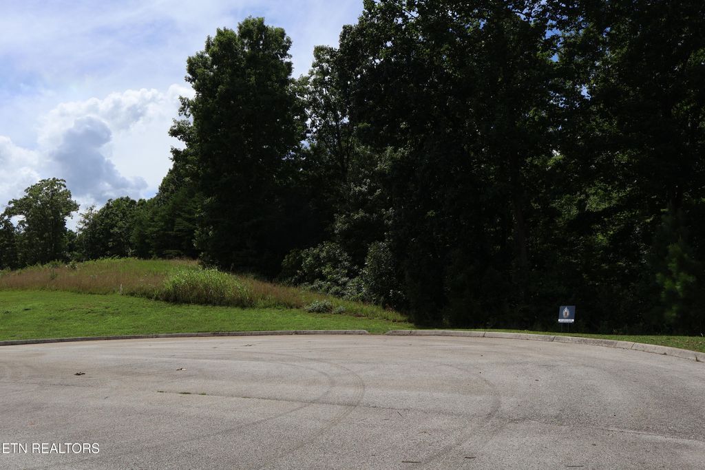 Photo of 161 Highland Reserve Way, Kingston, TN 37763 (MLS # 1341604)