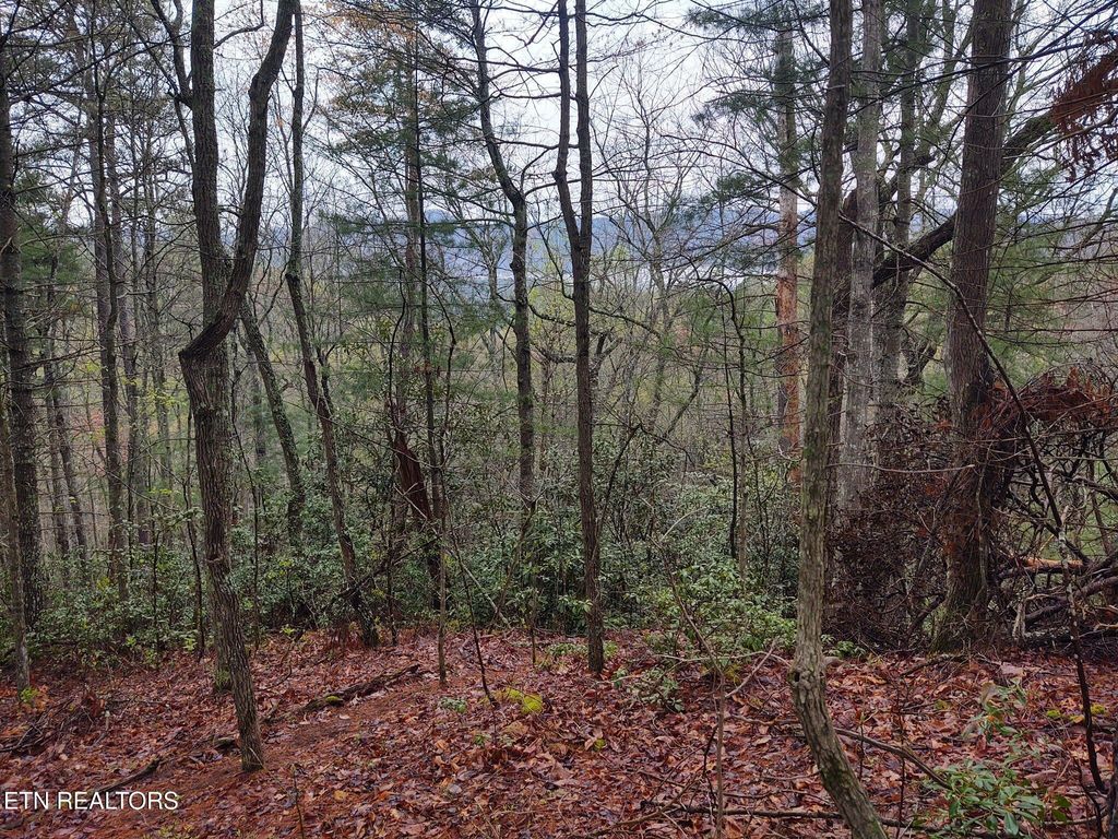 Photo of 0 Walnut Flats Rd, Walland, TN 37886 (MLS # 1331325)