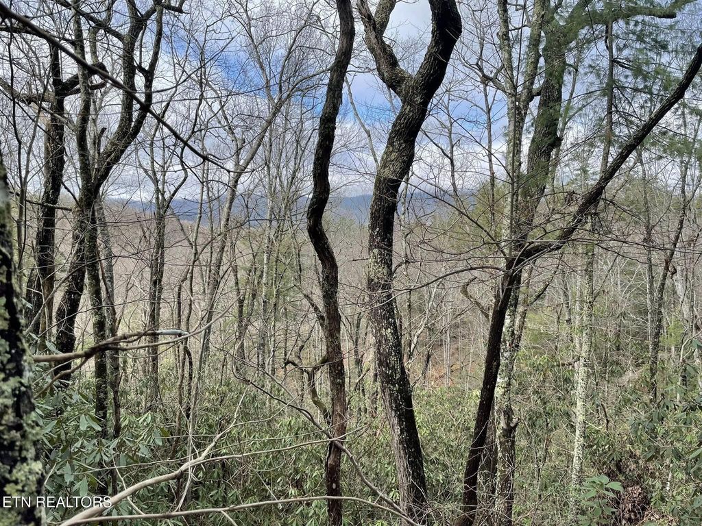 Photo of 0 Walnut Flats Rd, Walland, TN 37886 (MLS # 1331325)