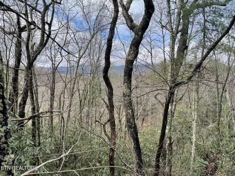 Photo of 0 Walnut Flats Rd, Walland, TN 37886 (MLS # 1331325)