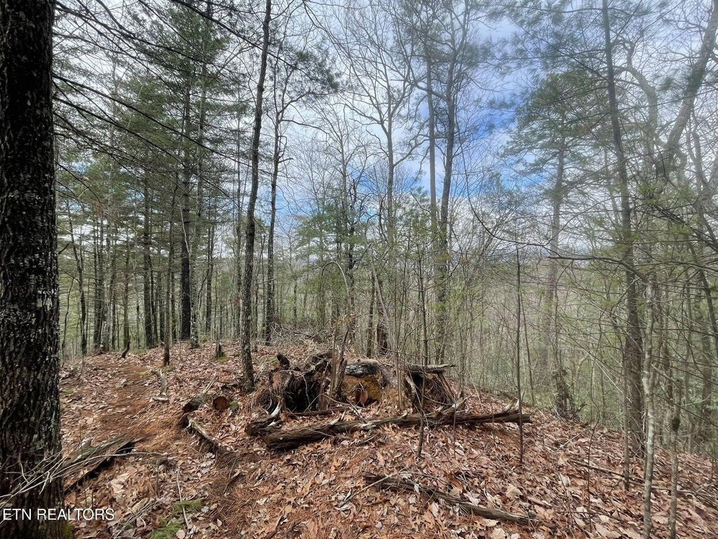 Photo of 0 Walnut Flats Rd, Walland, TN 37886 (MLS # 1331325)