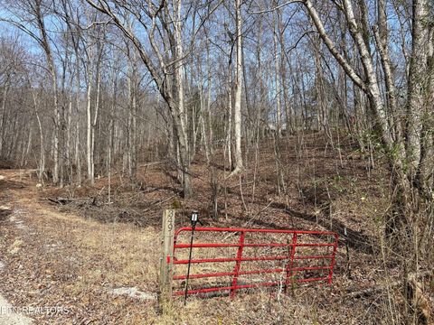 Tiny photo for 349 S Marlowe Lane, Speedwell, TN 37870 (MLS # 1338197)