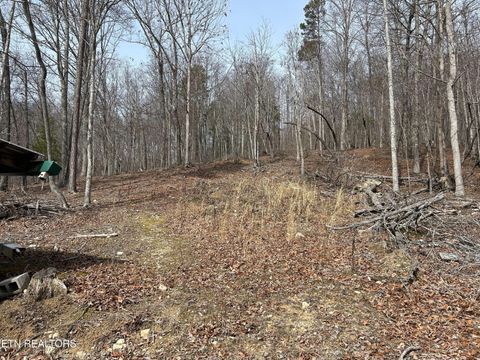 Tiny photo for 349 S Marlowe Lane, Speedwell, TN 37870 (MLS # 1338197)