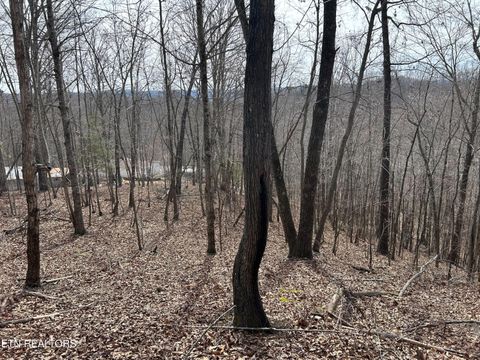 Tiny photo for 349 S Marlowe Lane, Speedwell, TN 37870 (MLS # 1338197)