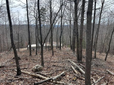 Tiny photo for 349 S Marlowe Lane, Speedwell, TN 37870 (MLS # 1338197)