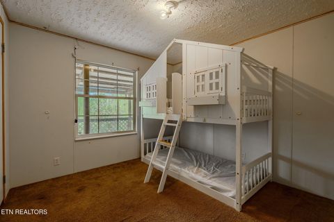 Tiny photo for 349 S Marlowe Lane, Speedwell, TN 37870 (MLS # 1338197)