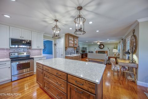 Tiny photo for 510 Maple Tree Drive, Knoxville, TN 37934 (MLS # 1332813)