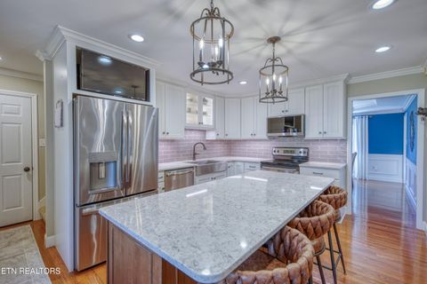 Tiny photo for 510 Maple Tree Drive, Knoxville, TN 37934 (MLS # 1332813)