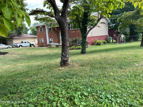 Tiny photo for 244 Peterson Rd, Knoxville, TN 37934 (MLS # 1319788)