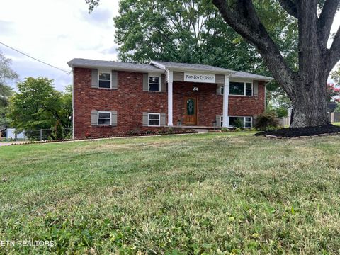Tiny photo for 244 Peterson Rd, Knoxville, TN 37934 (MLS # 1319788)