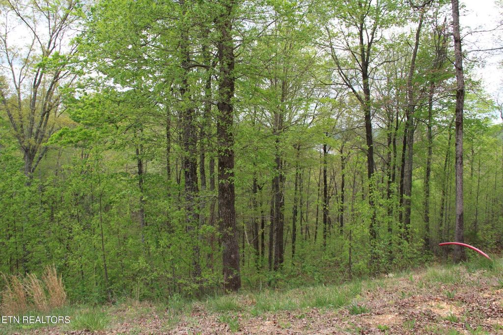 Photo of Hickory Way, LaFollette, TN 37766 (MLS # 1326928)
