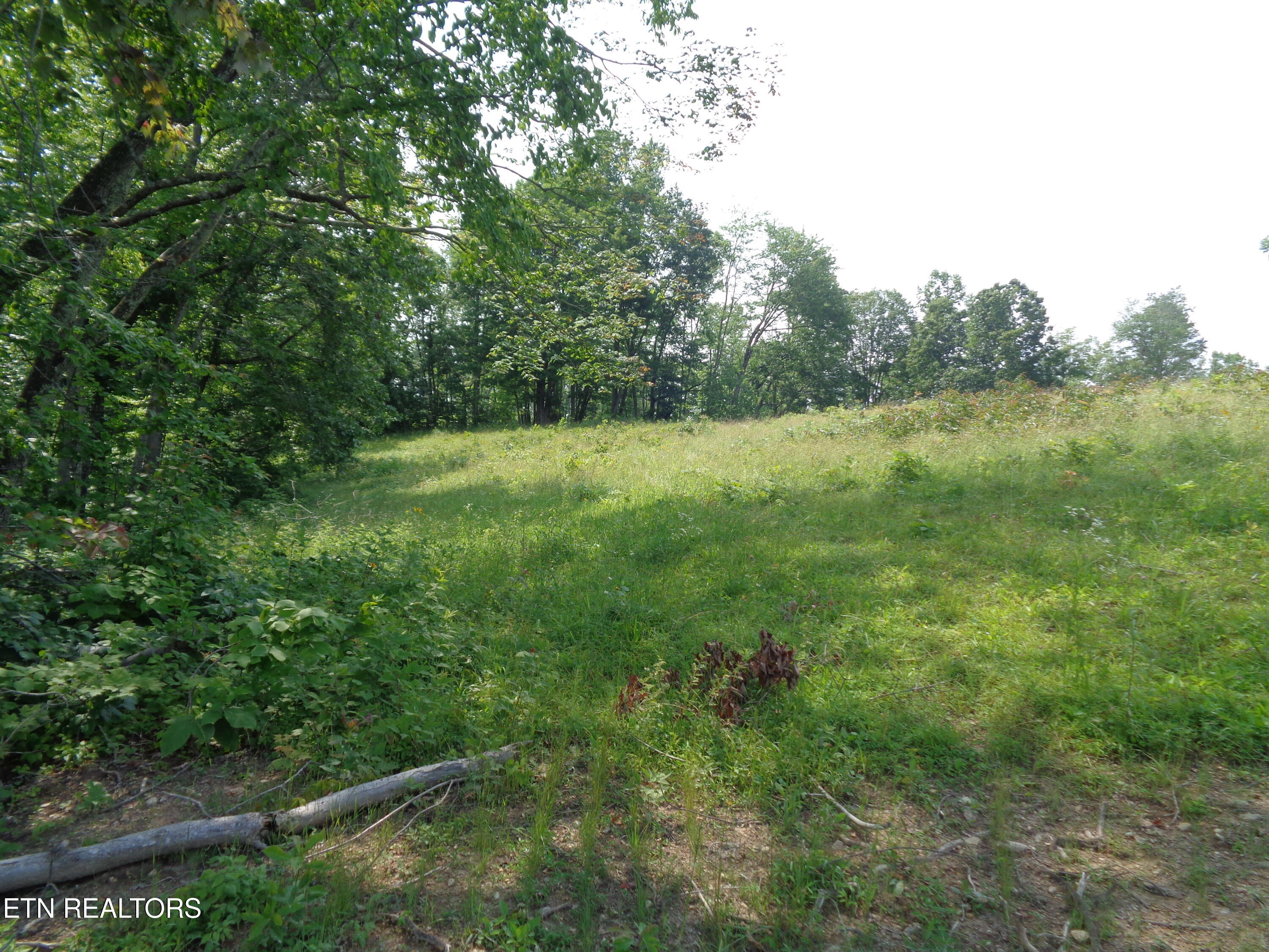3877 HWY 66