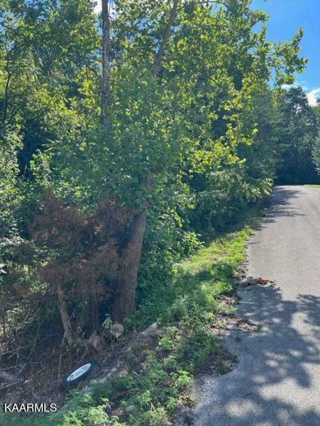 Photo of 0 Forest Meadow Lane, New Tazewell, TN 37825 (MLS # 1236776)