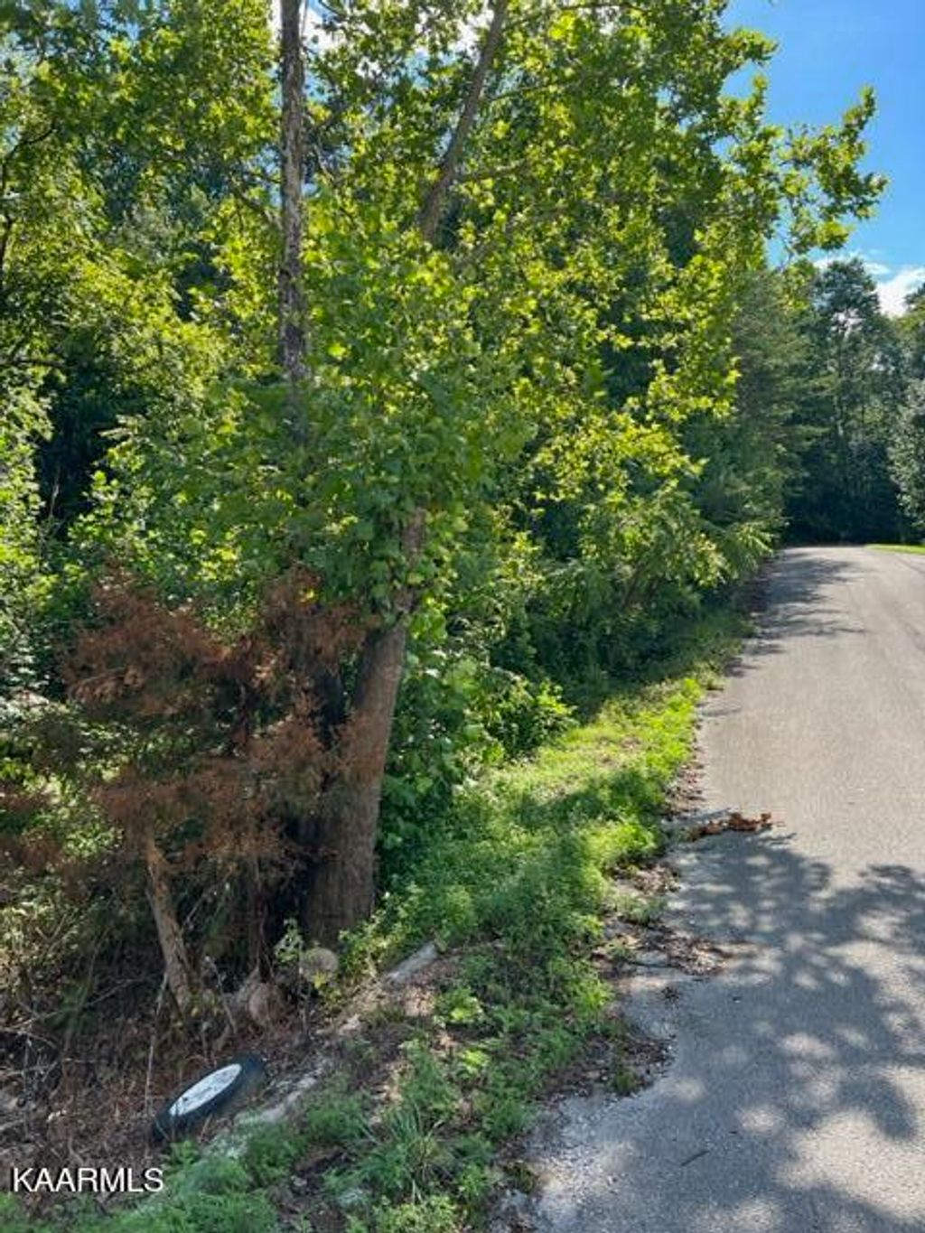 Photo of 0 Forest Meadow Lane, New Tazewell, TN 37825 (MLS # 1236776)