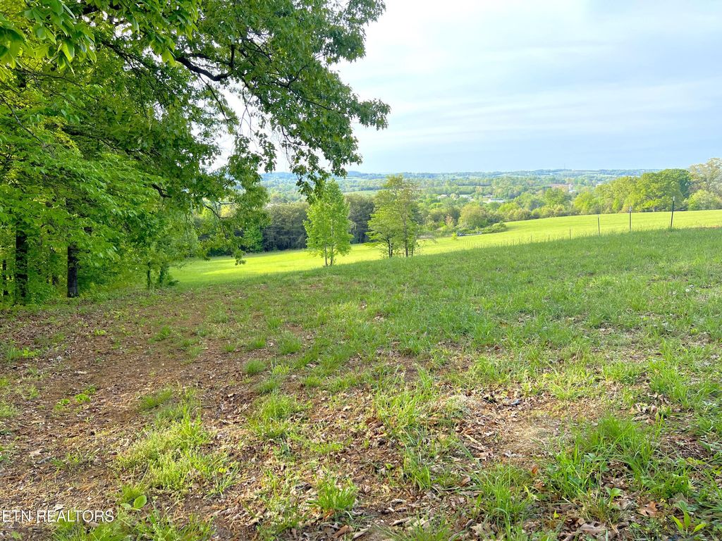 Photo of 555 Lynnwood Drive, Greenback, TN 37742 (MLS # 1260964)