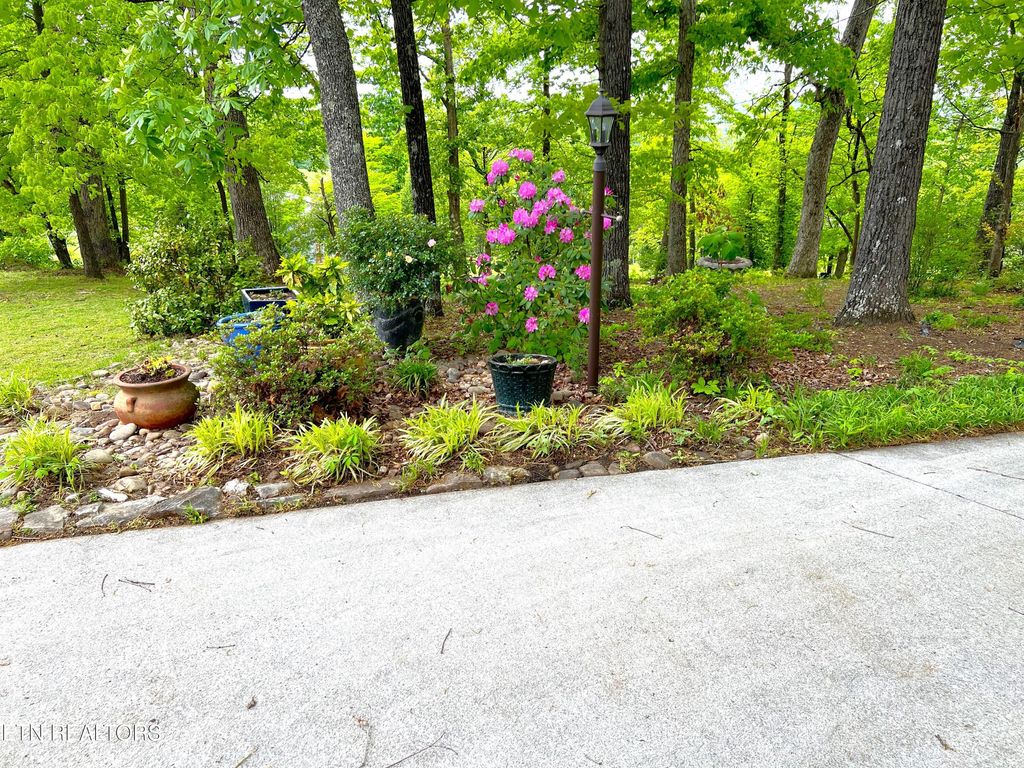 Photo of 555 Lynnwood Drive, Greenback, TN 37742 (MLS # 1260964)