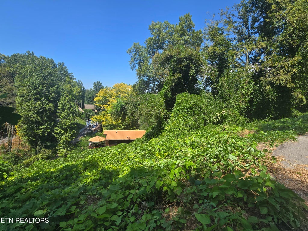 Photo of 431 W Loop Rd, Gatlinburg, TN 37738 (MLS # 1354513)