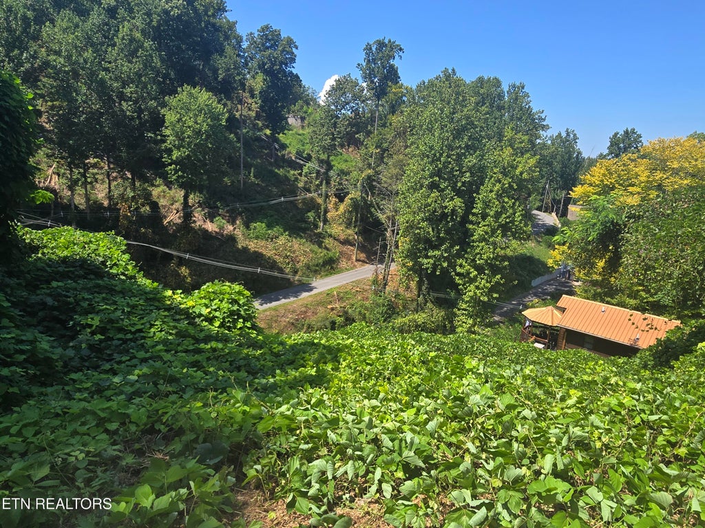 Photo of 431 W Loop Rd, Gatlinburg, TN 37738 (MLS # 1354513)