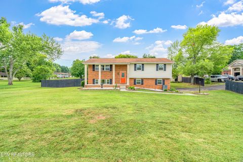 905 N Cedar Bluff Rd 3 Knoxville TN 37923