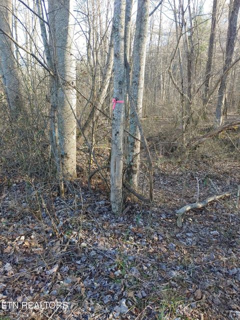 Tiny photo for Mill Creek Rd, Sunbright, TN 37872 (MLS # 1326811)