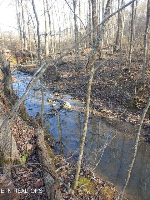 Tiny photo for Mill Creek Rd, Sunbright, TN 37872 (MLS # 1326811)