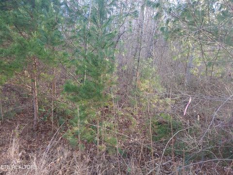 Tiny photo for Mill Creek Rd, Sunbright, TN 37872 (MLS # 1326811)