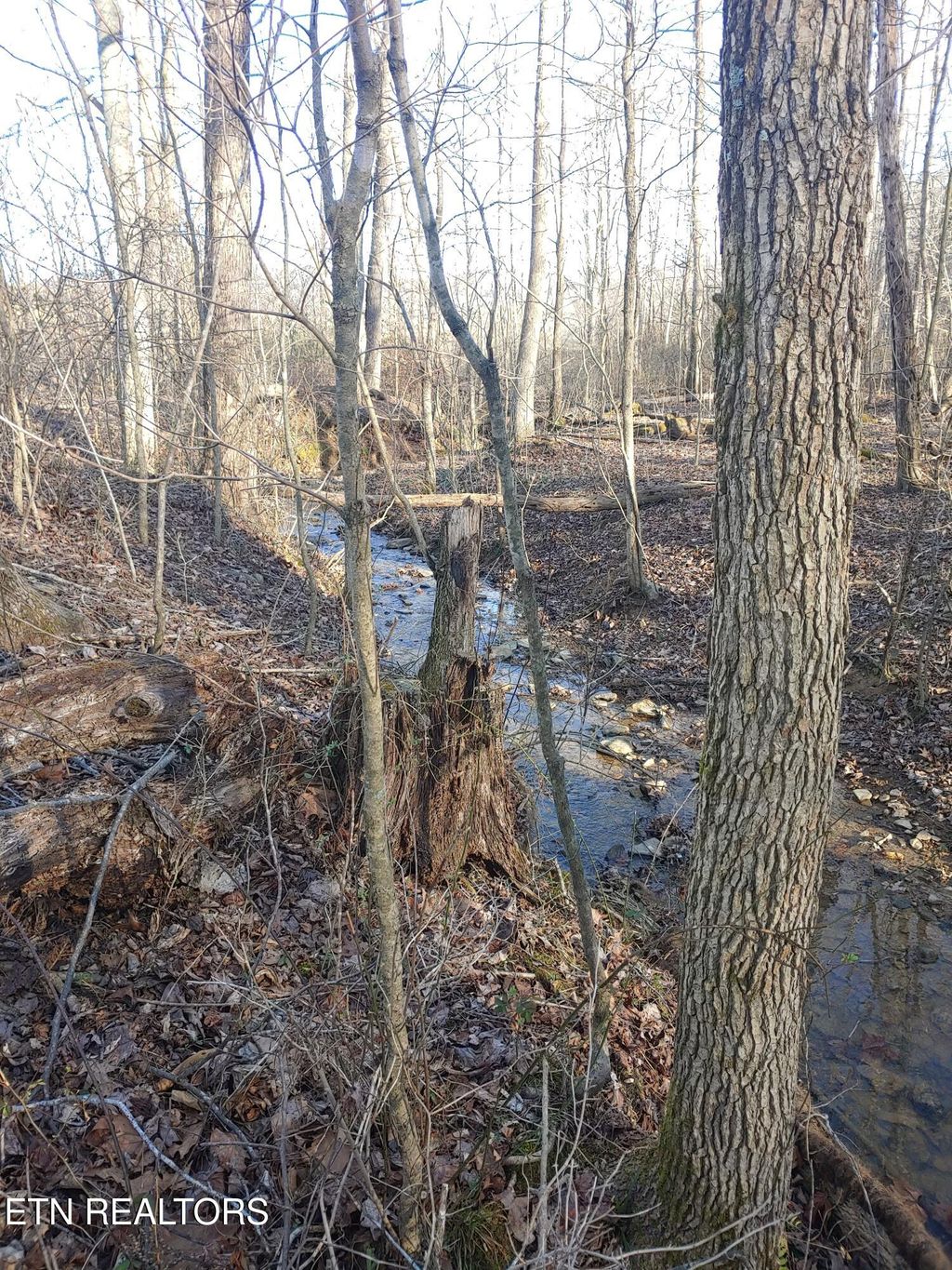 Photo of Mill Creek Rd, Sunbright, TN 37872 (MLS # 1326811)