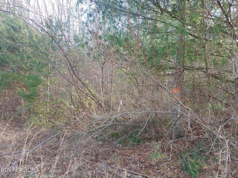 Tiny photo for Mill Creek Rd, Sunbright, TN 37872 (MLS # 1326811)