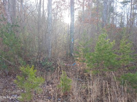 Tiny photo for Mill Creek Rd, Sunbright, TN 37872 (MLS # 1326811)