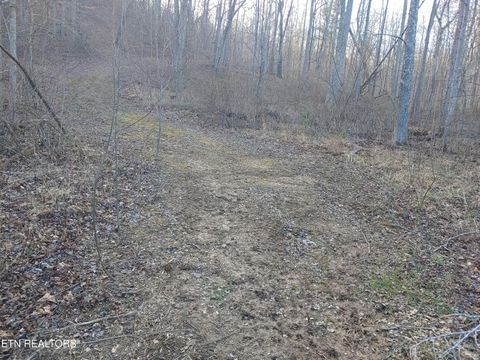 Tiny photo for Mill Creek Rd, Sunbright, TN 37872 (MLS # 1326811)