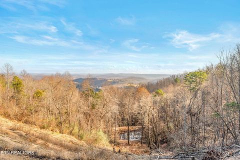 Tiny photo for 264 Victory Cross Rd, LaFollette, TN 37766 (MLS # 1326186)