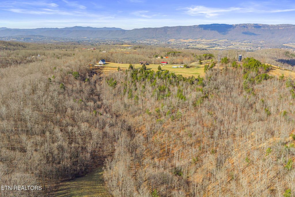 Photo of 264 Victory Cross Rd, LaFollette, TN 37766 (MLS # 1326186)