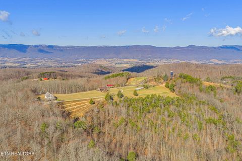 Tiny photo for 264 Victory Cross Rd, LaFollette, TN 37766 (MLS # 1326186)