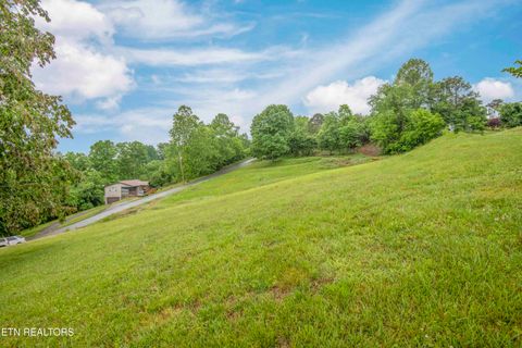 Tiny photo for 140 Walnut Circle, New Tazewell, TN 37825 (MLS # 1340547)