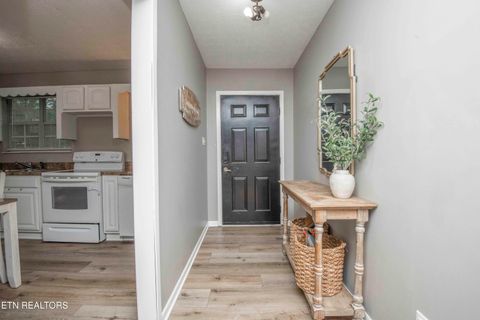 Tiny photo for 140 Walnut Circle, New Tazewell, TN 37825 (MLS # 1340547)