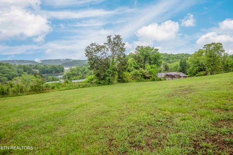 Tiny photo for 140 Walnut Circle, New Tazewell, TN 37825 (MLS # 1340547)