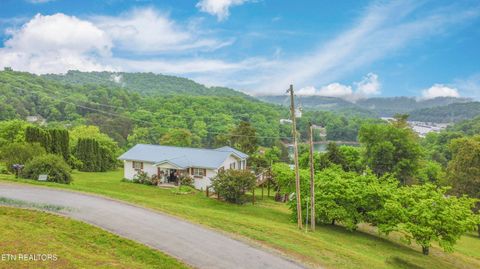 Tiny photo for 140 Walnut Circle, New Tazewell, TN 37825 (MLS # 1340547)